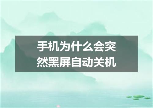 手机为什么会突然黑屏自动关机