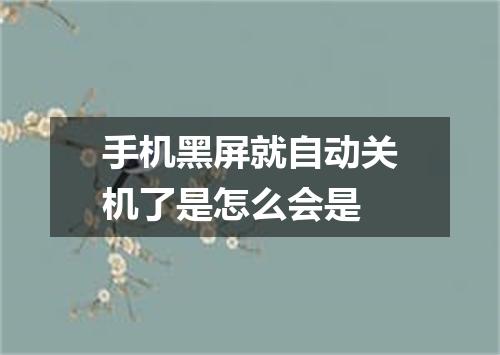 手机黑屏就自动关机了是怎么会是