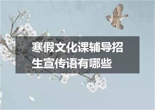 寒假文化课辅导招生宣传语有哪些