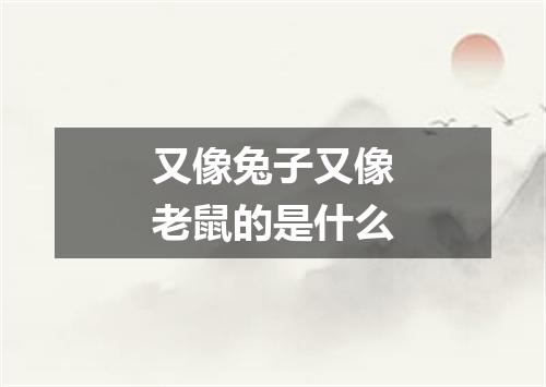又像兔子又像老鼠的是什么