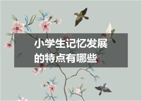 小学生记忆发展的特点有哪些