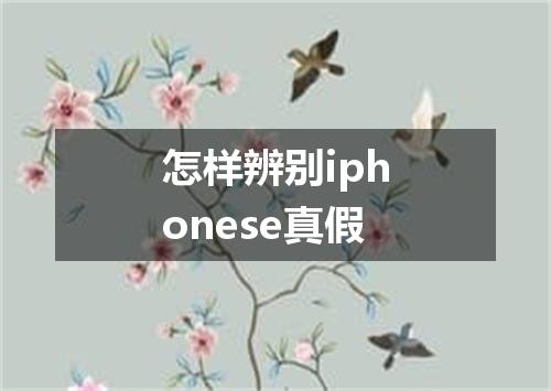 怎样辨别iphonese真假