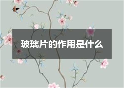 玻璃片的作用是什么