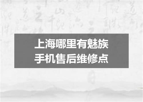 上海哪里有魅族手机售后维修点