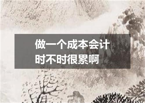 做一个成本会计时不时很累啊