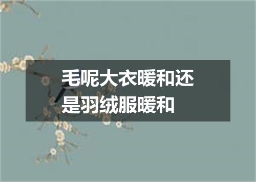 毛呢大衣暖和还是羽绒服暖和