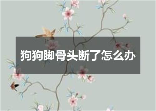 狗狗脚骨头断了怎么办