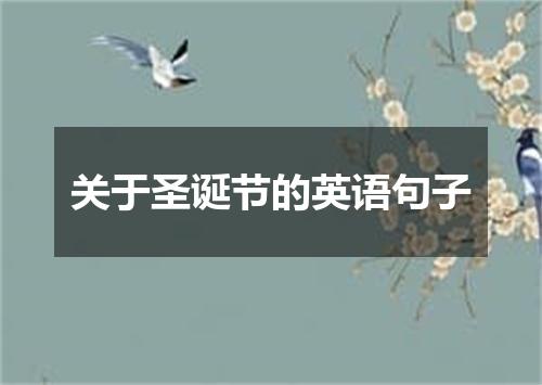 关于圣诞节的英语句子