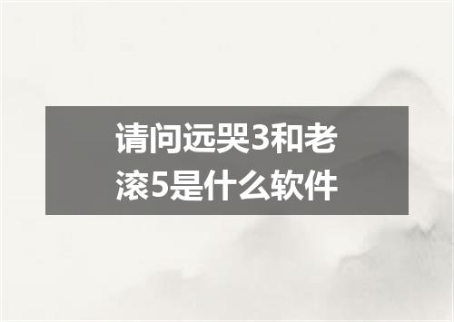 请问远哭3和老滚5是什么软件