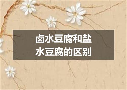 卤水豆腐和盐水豆腐的区别