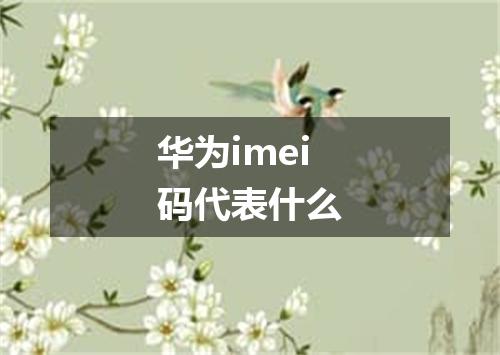 华为imei码代表什么