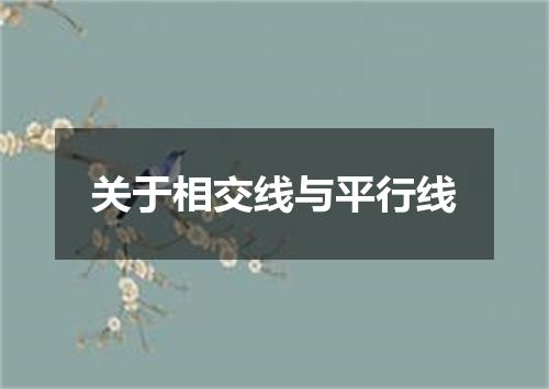 关于相交线与平行线
