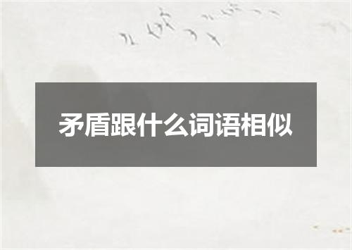 矛盾跟什么词语相似