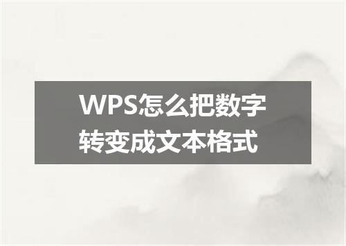 WPS怎么把数字转变成文本格式