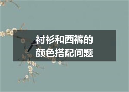 衬衫和西裤的颜色搭配问题