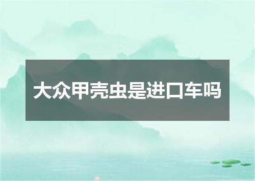 大众甲壳虫是进口车吗