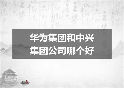 华为集团和中兴集团公司哪个好