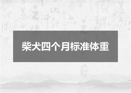 柴犬四个月标准体重