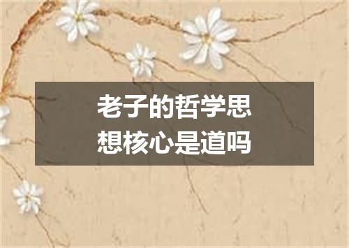 老子的哲学思想核心是道吗