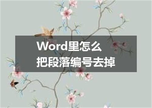 Word里怎么把段落编号去掉