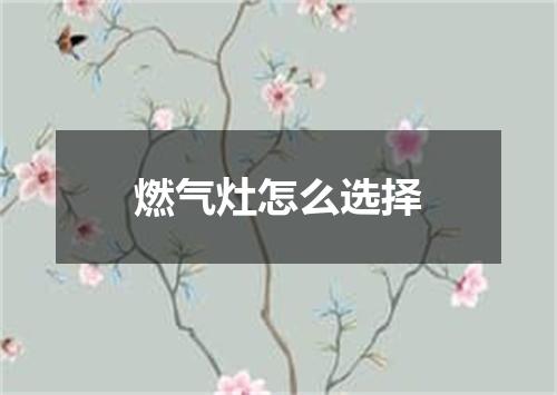 燃气灶怎么选择