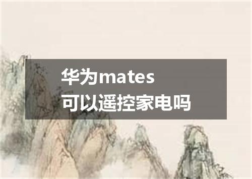 华为mates可以遥控家电吗