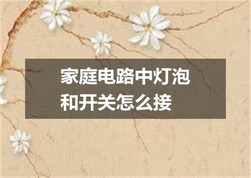 家庭电路中灯泡和开关怎么接