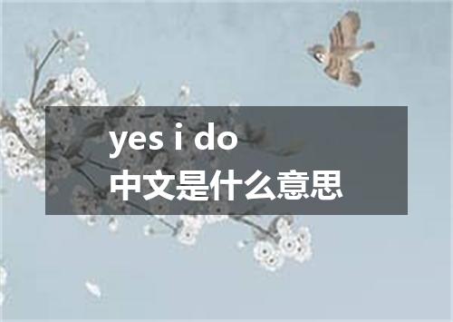 yes i do中文是什么意思
