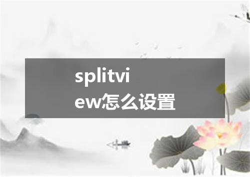 splitview怎么设置