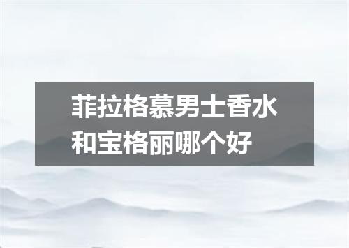 菲拉格慕男士香水和宝格丽哪个好