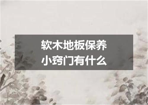 软木地板保养小窍门有什么