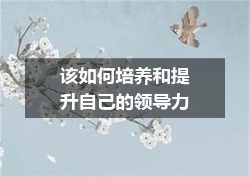 该如何培养和提升自己的领导力