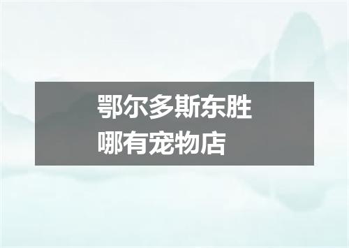 鄂尔多斯东胜哪有宠物店