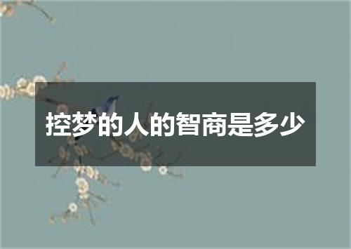 控梦的人的智商是多少