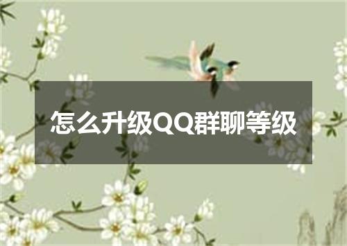 怎么升级QQ群聊等级