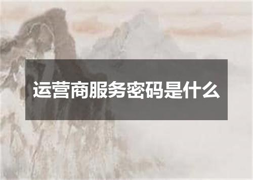 运营商服务密码是什么