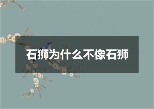 石狮为什么不像石狮