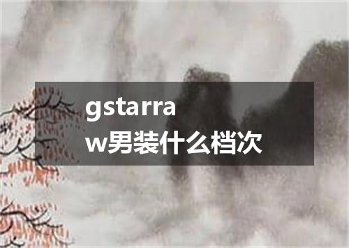 gstarraw男装什么档次