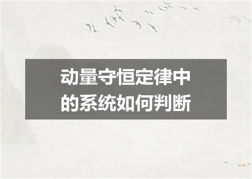 动量守恒定律中的系统如何判断