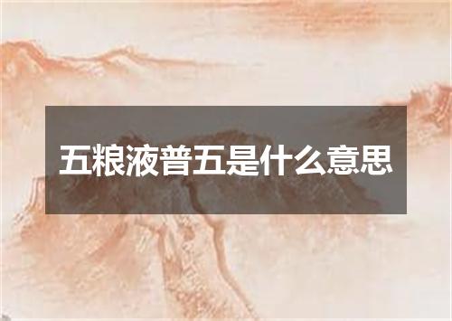 五粮液普五是什么意思