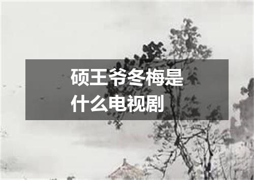 硕王爷冬梅是什么电视剧