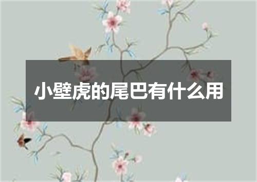 小壁虎的尾巴有什么用