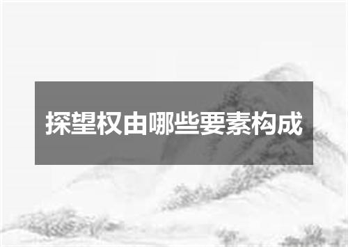 探望权由哪些要素构成