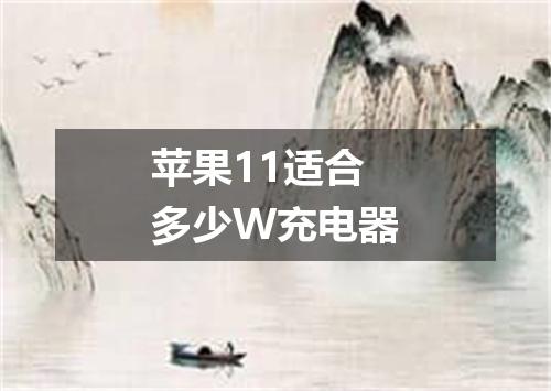 苹果11适合多少W充电器