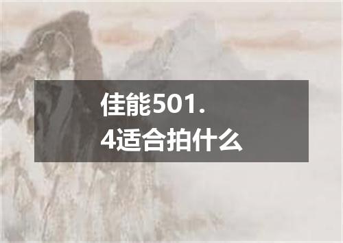 佳能501.4适合拍什么