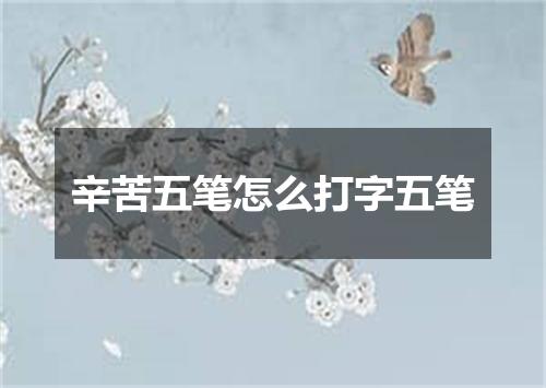 辛苦五笔怎么打字五笔