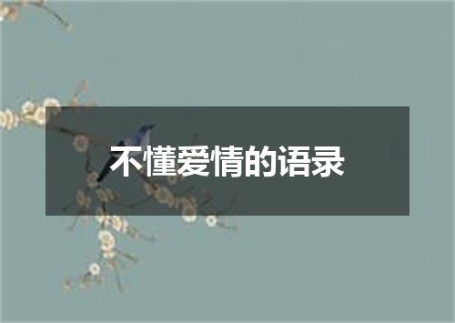 不懂爱情的语录