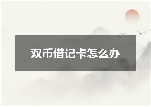 双币借记卡怎么办