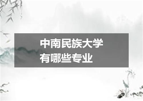 中南民族大学有哪些专业