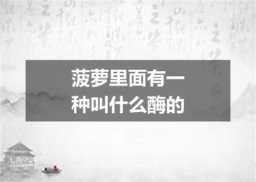 菠萝里面有一种叫什么酶的